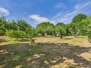 Orchard- click for photo gallery